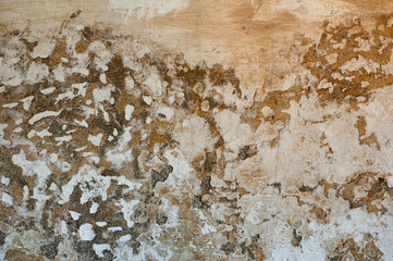 Battered old wall