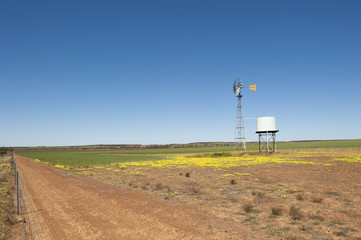 Windmill Farm Australia