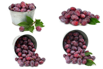 Set of fresh plums isolated on white