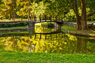 Wooden bridge in a park