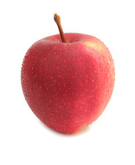Apfel
