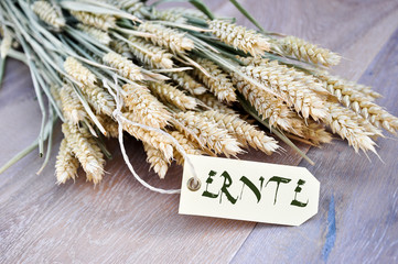 Ernte