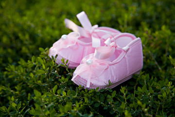 Pair of pink balerina shoe © Alex Smith