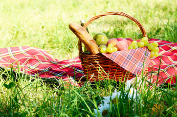 Picnic basket