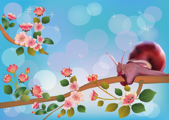 sakura ,snaill,  spring , postcard .