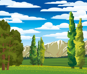 Summer landscape with cypress and meadow