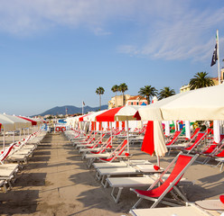 Rows of beach umbrellas and sun chairs