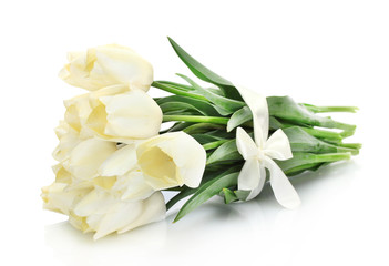 beautiful tulips isolated on white.