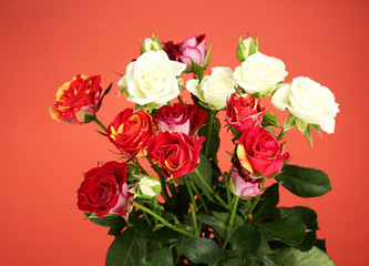 Bouquet of beautiful roses on red background close-up