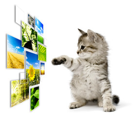 Fototapety na wymiar - Fototapeta24.pl