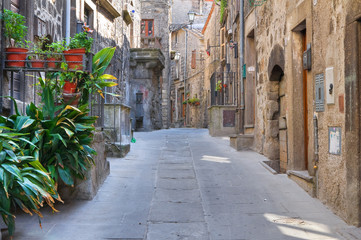 Alleyway. Vitorchiano. Lazio. Italy.