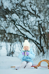 Little girl on sledge