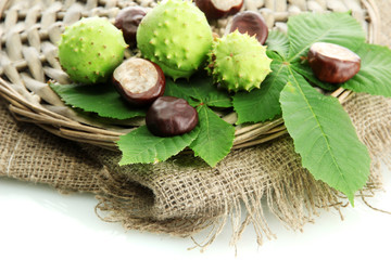 Chestnuts with leaves on burlap, isolated on white