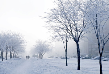 Snow-covered avenue winter city landscape
