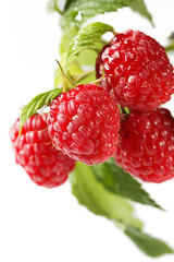 Himbeeren mit Blätter, Makro auf Hintergrund weiß