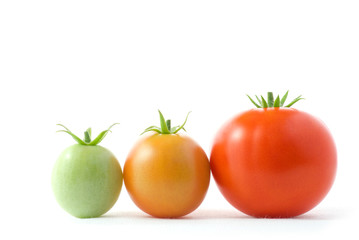 Profit graph of tomato