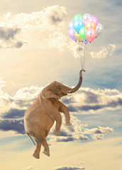 Elephant Flying With Balloon