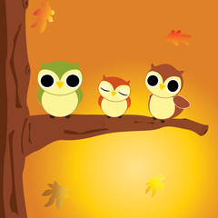 Autumn Owls