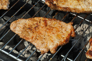 barbecue with delicious grilled meat on grill