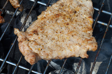 barbecue with delicious grilled meat on grill