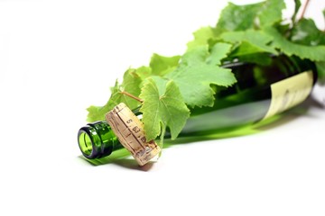 Wein
