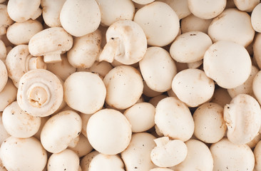 Background of fresh whole mushrooms