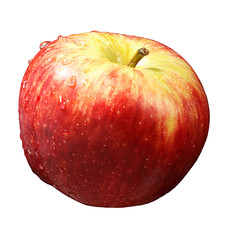 rot-gelber Apfel freigestellt, weißer Hintergrund