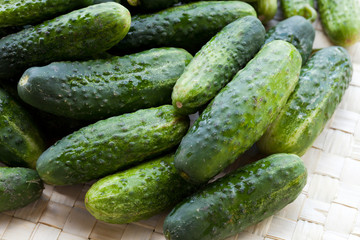 fresh green cucumber