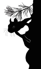 Squirrel on a white background, vector illustration