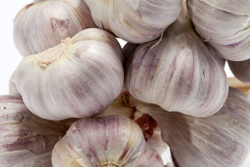 fresh garlic  on white background