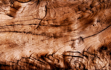 Abstract texture of dry wood