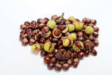 ripe chestnuts isolated on a white background