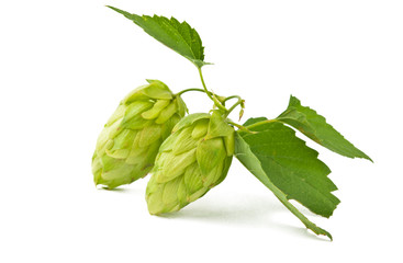 hop isolated
