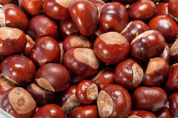 ripe chestnuts