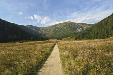 Dolina Kondratowa © Grzegorz Giemza