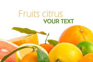 Fruits citrus
