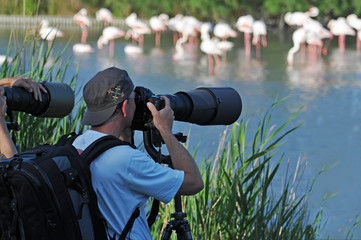 Photographe