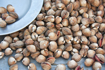 Fresh cockles in a seafood market