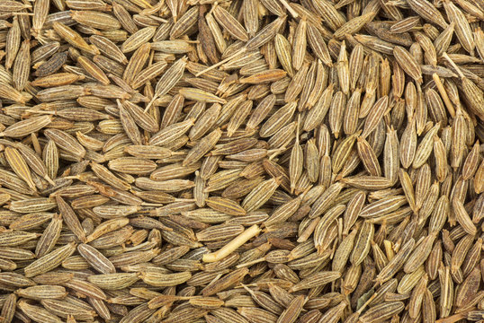 Zeera seeds close-up