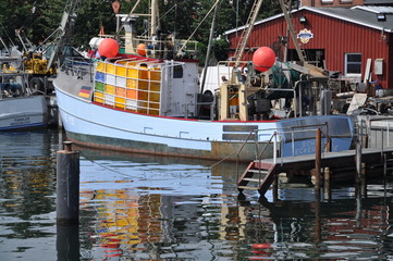 Hafen in Eckernförde