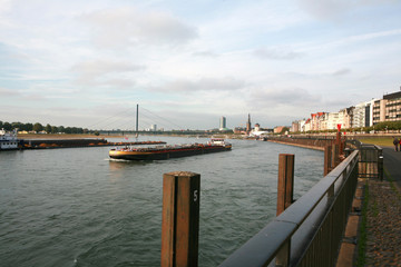 Fototapeta premium Rheinpromenade