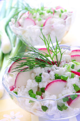 Cottage cheese with radish