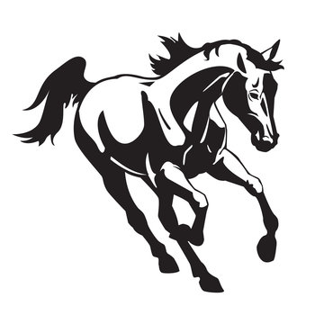 running horse black white image