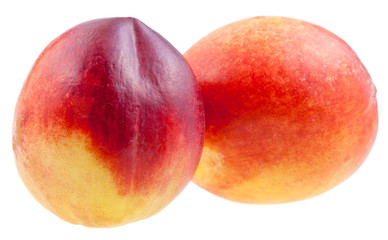 fresh Nectarines