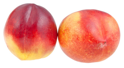two ripe Nectarines