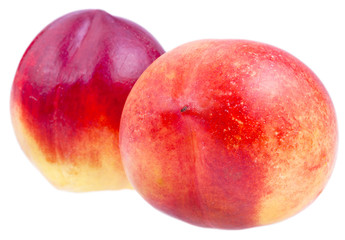 two fresh Nectarines close up
