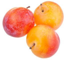 three fresh ripe yellow plums