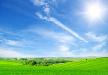 green field and blue sky