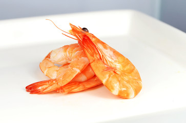 Shrimps on a white plate