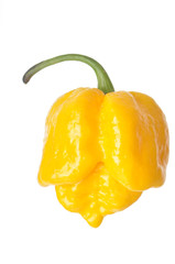 Isolated Yellow 7 Pot Pepper